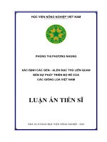 Xác định các genalen đặc thù liên quan đến sự phát triển bộ rễ của các giống lúa Việt Nam