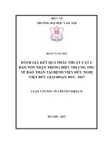 Đánh giá kết quả phẫu thuật cắt u bảo tồn thận trong điều trị ung thư tế bào thận tại bệnh viện hữu nghị việt đức giai đoạn 2012   2017
