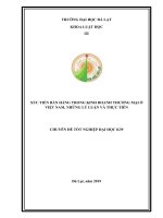 xúc tiến bán hàng trong kinh doanh thương mại ở Việt Nam, những lý luận và thực tiễn