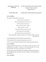 de thi tuyen sinh vao lop 10 thpt mon ngu van so gd dt binh dinh 