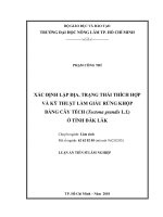Xác định lập địa, trạng thái thích hợp và kỹ thuật làm giàu rừng khộp bằng cây tếch (tectona grandis L.F.) ở tỉnh Đăk Lăk (Luận án tiến sĩ)