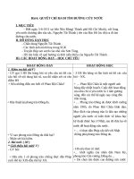 Giáo án Lịch sử 5 bài 6: Quyết chí ra đi tìm đường cứu nước