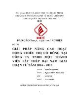 GIẢI PHÁP NÂNG CAO HOẠT ĐỘNG CHIÊU THỊ CỔ ĐÔNG TẠI CÔNG TY TNHH MỘT THÀNH VIÊN SẮT THÉP ĐẠI NAM GIAI ĐOẠN TỪ NĂM 2016  2018