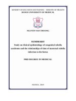 Nghiên cứu dịch tễ học lâm sàng bệnh rubella bẩm sinh và mối liên quan của rubella ở mẹ theo thời kỳ mang thai tới thai nhi tt tiếng anh 