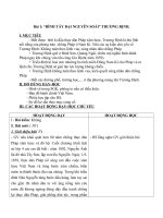 Giáo án Lịch sử 5 bài 1: Bình tây đại nguyên soái Trương Định