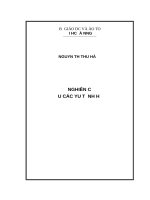 Nghiên cứu các nhân tố ảnh hưởng đến ý định mua thực phẩm chức năng của người tiêu dùng tại đà nẵng 