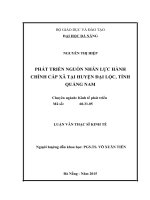 Phát triển nguồn nhân lực hành chính cấp xã tại huyện đại lộc, tỉnh quảng nam 