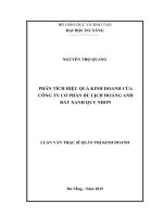 Phân tích hiệu quả kinh doanh của công ty cổ phần du lịch hoàng anh đất xanh quy nhơn 