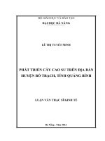Phát triển cây cao su trên địa bàn huyện bố trạch, tỉnh quảng bình  