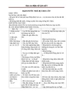 Giáo án Lịch sử 5 bài 19: Nước nhà bị chia cắt