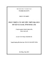 Phát triển cây hồ tiêu trên địa bàn huyện EA KAR, tỉnh đăk lăk 