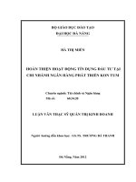 Hoàn thiện hoạt động tín dụng đầu tư tại chi nhánh ngân hàng phát triển kon tum  