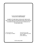 Nghiên cứu biệt hóa tế bào gốc trung mô máu cuống rốn người thành tế bào tiết insulin và đánh giá khả năng sản xuất insulin của tế bào biệt hóa
