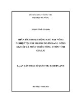 Phân tích hoạt động cho vay nông nghiệp tại chi nhánh ngân hàng NN  PTNT, tỉnh gia lai 
