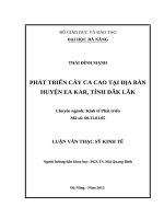 Phát triển cây ca cao tại địa bàn huyện ea kar, tỉnh đắk lắk 