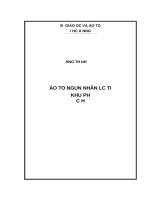 Đào tạo nguồn nhân lực tại khu phức hợp sản xuất và lắp ráp ô tô chu lai  trường hải, quảng nam 