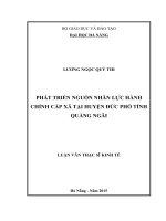 Phát triển nguồn nhân lực hành chính cấp xã tại huyện đức phổ, tỉnh quảng ngãi 