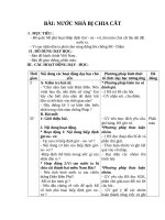 Giáo án Lịch sử 5 bài 19: Nước nhà bị chia cắt