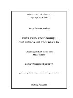 Phát triển công nghiệp chế biến cà phê tỉnh đăk lắk 