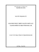 Giải pháp phát triển nguồn nhân lực tại bảo hiểm xã hội tỉnh đak lak 