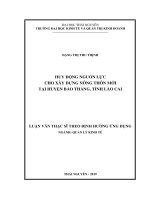 Huy động nguồn lực cho xây dựng nông thôn mới tại huyện Bảo Thắng, tỉnh Lào Cai (Luận văn thạc sĩ)