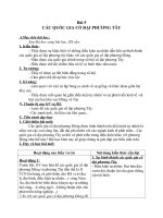 Giáo án Lịch sử 6 bài 5: Các quốc gia cổ đại phương Tây