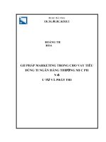 Giải pháp marketing trong cho vay tiêu dùng tại ngân hàng TMCP đầu tư và phát triển việt nam chi nhánh đông đắk lắk 