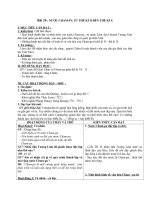 Giáo án Lịch sử 6 bài 24: Nước Chăm Pa từ thế kỷ II đến thế kỷ X