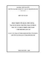 Phát triển tín dụng tiêu dùng tại Ngân hàng Thương mại Cổ phần Đầu tư và Phát triển Việt Nam chi nhánh Lào Cai (Luận văn thạc sĩ)