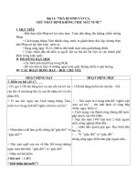 Giáo án Lịch sử 5 bài 13: Thà hi sinh tất cả chứ không chịu mất nước