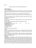 Giáo án Lịch sử 6 bài 24: Nước Chăm Pa từ thế kỷ II đến thế kỷ X