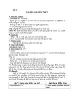 Giáo án Lịch sử 6 bài 3: Xã hội nguyên thủy