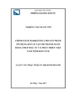 Chính sách marketing cho sản phẩm tín dụng bán lẻ tại chi nhánh ngân hàng TMCP đầu tư và phát triển tỉnh kon tum  