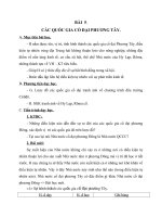 Giáo án Lịch sử 6 bài 5: Các quốc gia cổ đại phương Tây