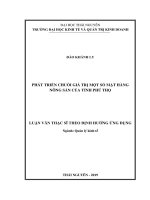 Phát triển chuỗi giá trị một số mặt hàng nông sản của tỉnh Phú Thọ (Luận văn thạc sĩ)