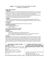 Giáo án Lịch sử 6 bài 19: Từ sau Trưng Vương đến trước Lý Nam Đế (Từ giữa thế kỷ I đến giữa thế kỷ VI)