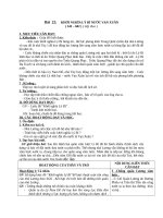 Giáo án Lịch sử 6 bài 22: Khởi nghĩa Lý Bí. Nước Vạn Xuân (542_602) (tt)