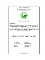 Áp dụng quy trình chăm sóc nuôi dưỡng và phòng, trị bệnh viêm tử cung cho đàn lợn nái nuôi tại trại lợn Thanh Xuân thuộc Công ty cổ phần sản xuất và DVTM Ngọc Linh Việt Nam, xã Nghĩa Trụ, huyện Văn Giang, tỉnh Hưng Yên (Khóa luận tốt nghiệp)