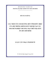 Các nhân tố ảnh hưởng đến tính hữu hiệu của hệ thống kiểm soát nội bộ tại các doanh nghiệp thương mại trên địa bàn TP  hồ chí minh 