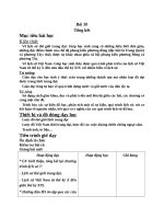 Giáo án Lịch sử 7 bài 30: Tổng kết