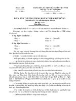 Mau bien ban thuong thao hop dong lap du an