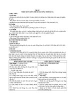 Giáo án Lịch sử 8 bài 12: Nhật Bản giữa thế kỉ 19  đầu thế kỉ 20