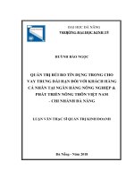 Quản trị rủi ro tín dụng trong cho vay trung dài hạn đối với khách hàng cá nhân tại ngân hàng nông nghiệp  phát triển nông thôn việt nam   chi nhánh đà nẵng 