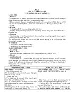 Giáo án Lịch sử 8 bài 11: Các nước Đông Nam Á cuối thế kỉ 19  đầu thế kỉ 20