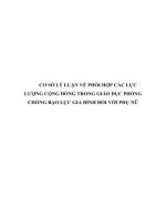 CƠ sở lý LUẬN về PHỐI hợp các lực LƯỢNG CỘNG ĐỒNG TRONG GIÁO dục PHÒNG CHỐNG bạo lực GIA ĐÌNH đối với PHỤ nữ 