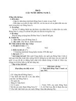 Giáo án Lịch sử 9 bài 5: Các nước Đông Nam Á