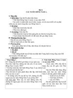 Giáo án Lịch sử 9 bài 5: Các nước Đông Nam Á