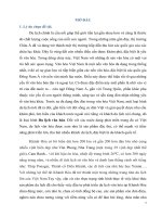 tiểu luận đường lối cách mạng đảng cs việt nam 5 