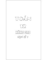 Bài Tập Toán học kì 1 Lớp 12 tập 1 (dành cho giáo viên)