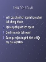 Phân tích ngành và phân tích công ty